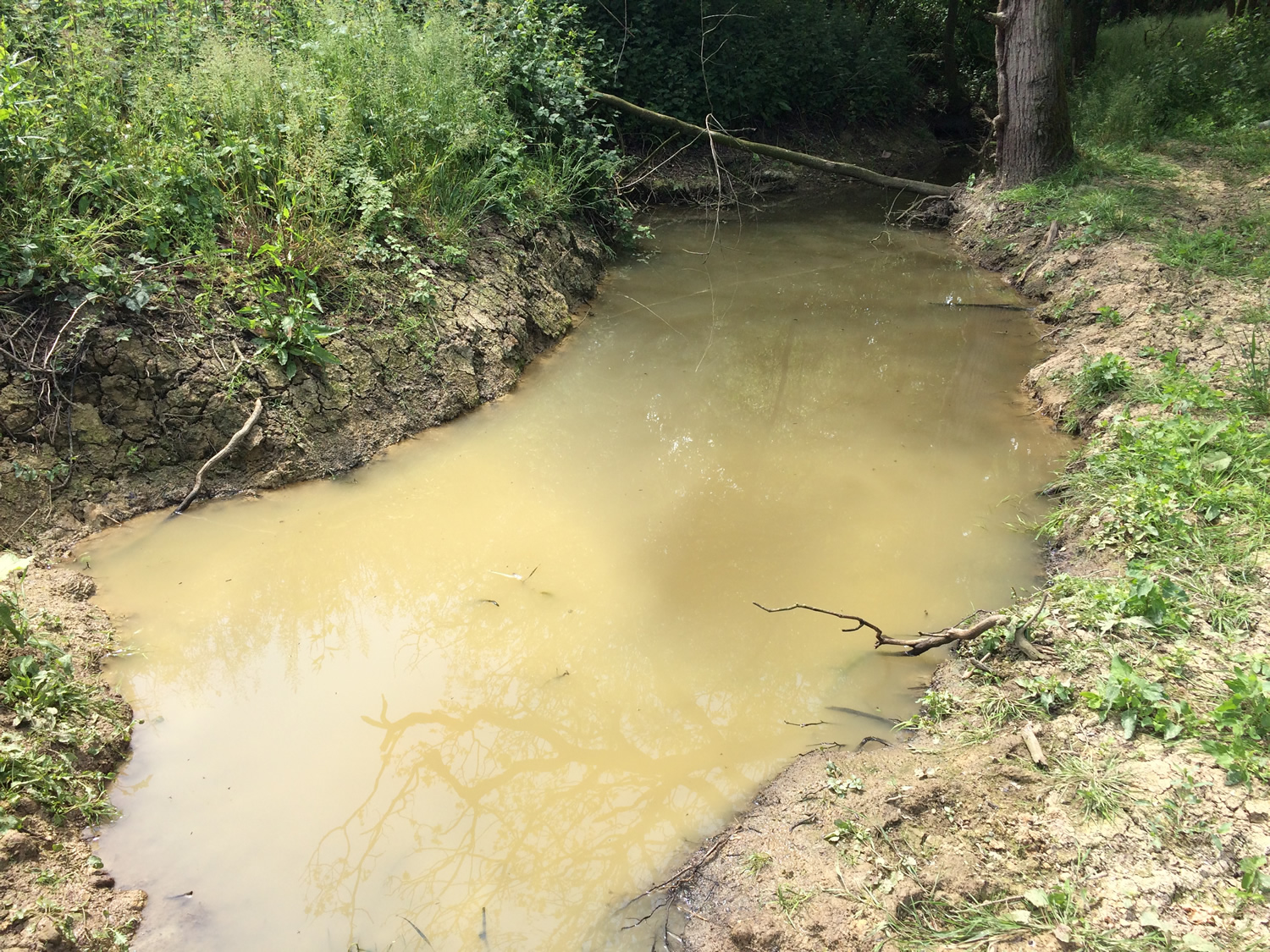 Spill Containment